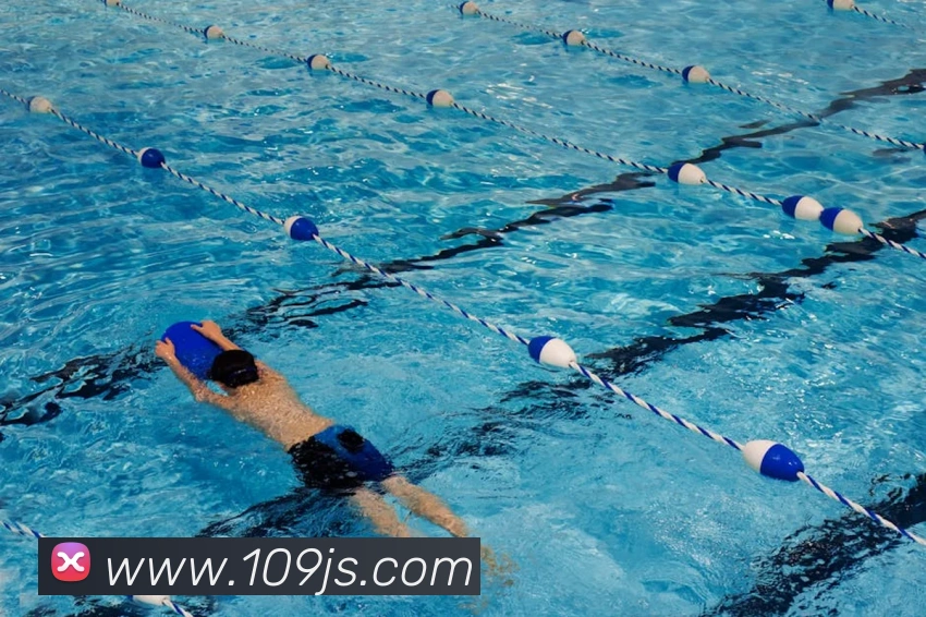 澳门金沙国际平台生态图